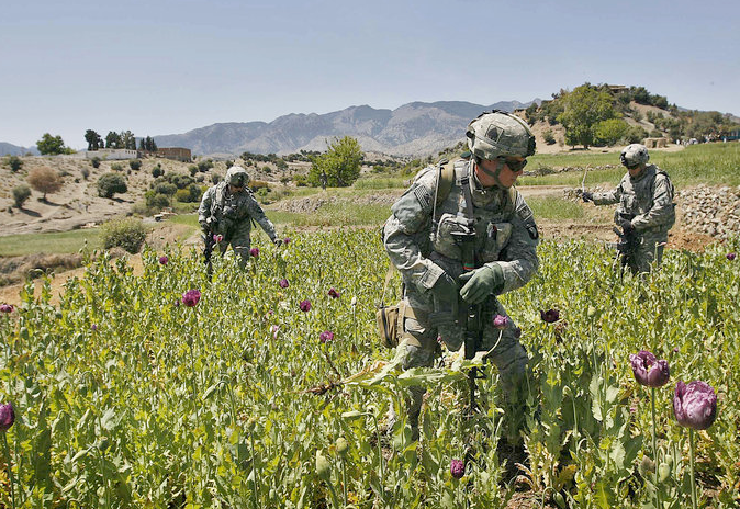 [afghanistan-opium-fields.png]