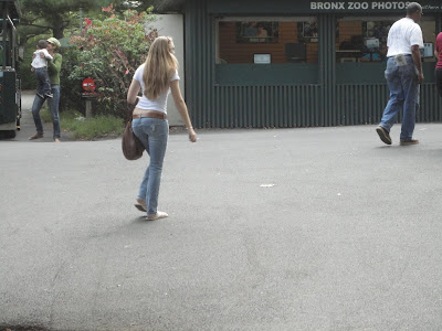 Zoológico de NY | Dicas de NY