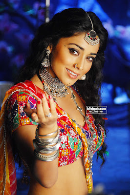 Shriya Saran Hot Latest Photo Gallery Telugu Spicy Movie