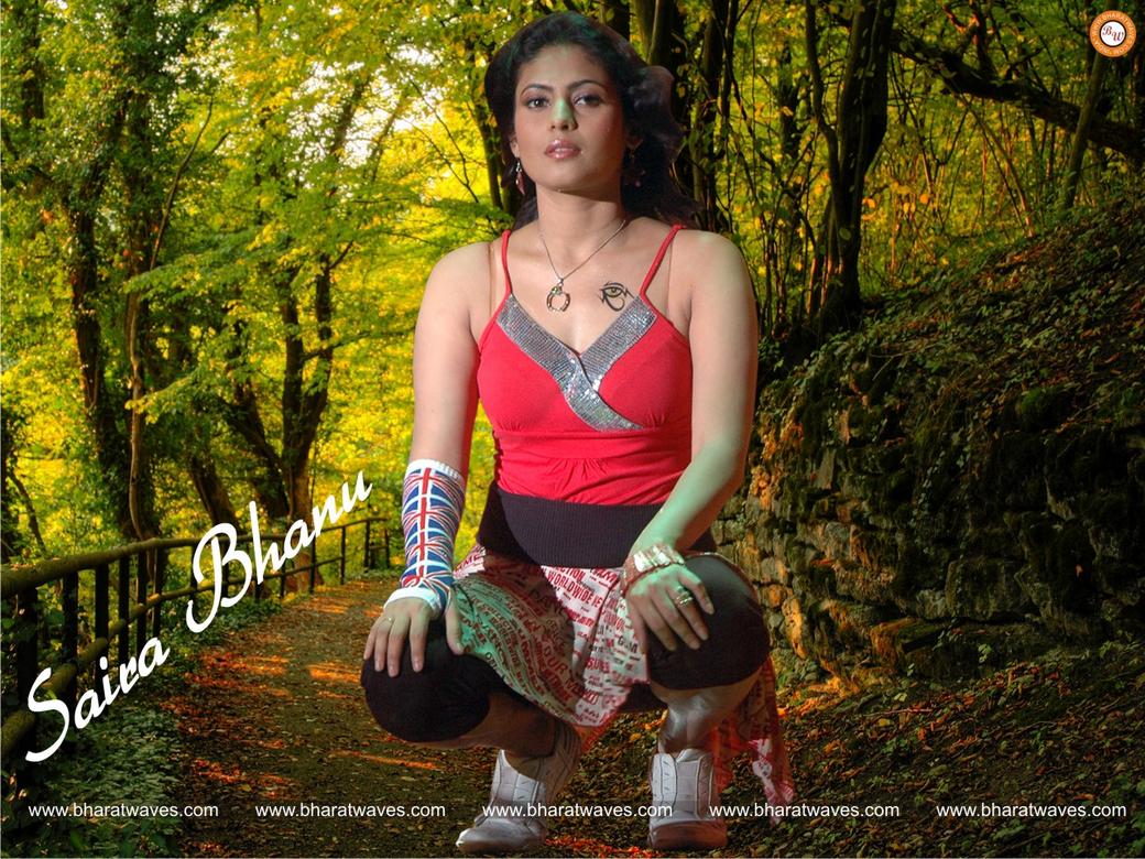 http://3.bp.blogspot.com/_6A8j2EQmANk/THJjGNoKWsI/AAAAAAAAI2Q/xvhjNoHvB6E/s1600/Hot+Telugu+Actress+Saira+Bhanu+Latest+Pictures2.jpg