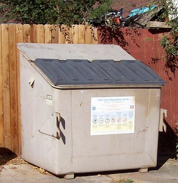 Chapter Five Excerpt: Dumpster