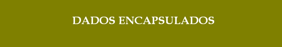 Dados Encapsulados