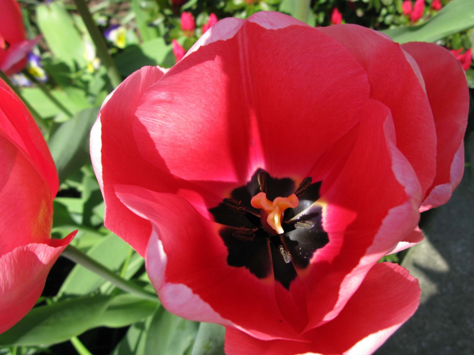 [IMG_4118.JPG]