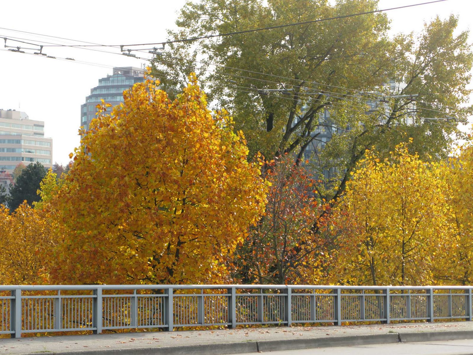 [IMG_9156.JPG]