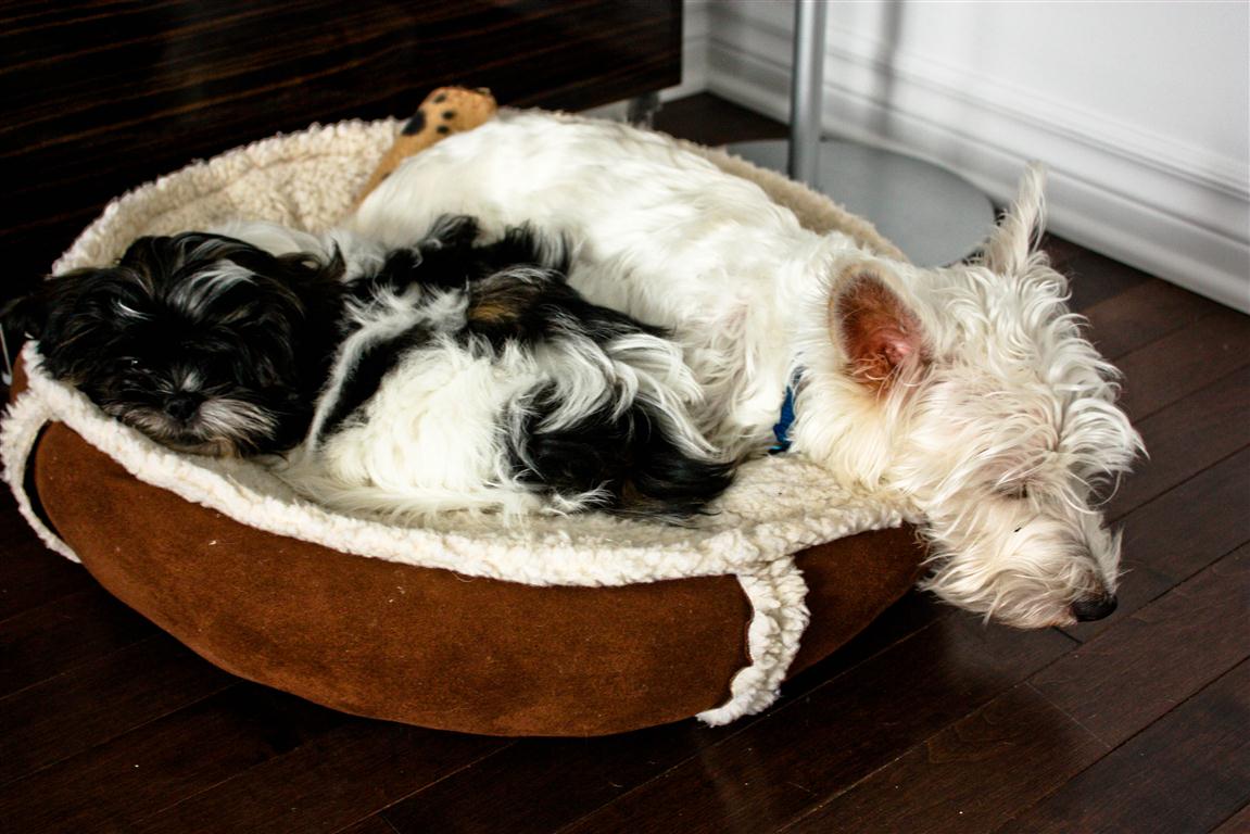 [Eddie_Dex+(1+of+1)+(Medium).jpg]