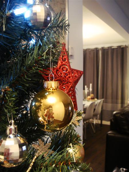 [DSC03686+(Medium).JPG]