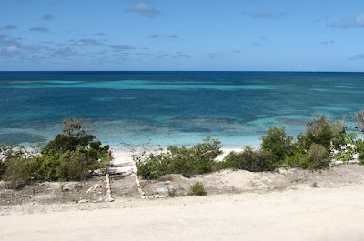 Introducing Barbuda Cottages!