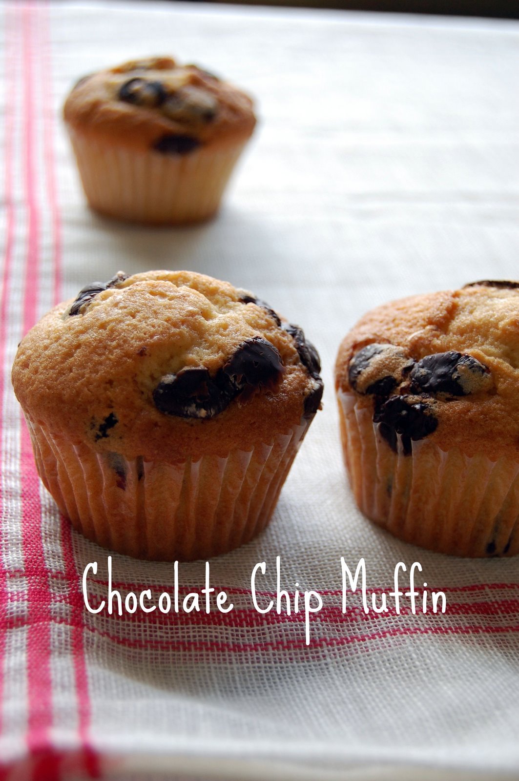 [Chocolate+Chip+Muffin.jpg]