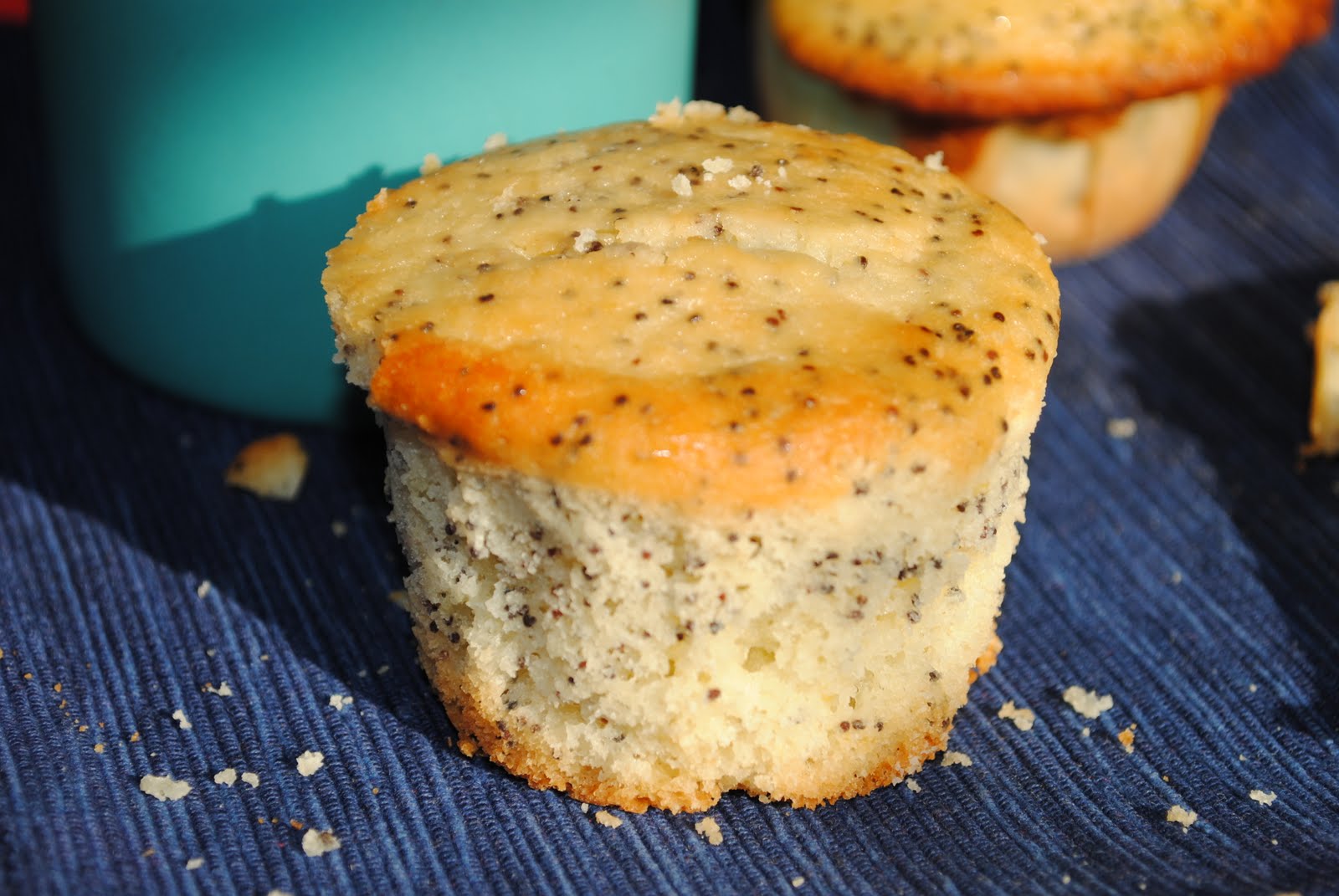 Baking Powders Best ever lemon poppy seed muffins