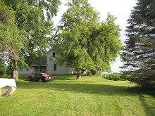 View from the barn