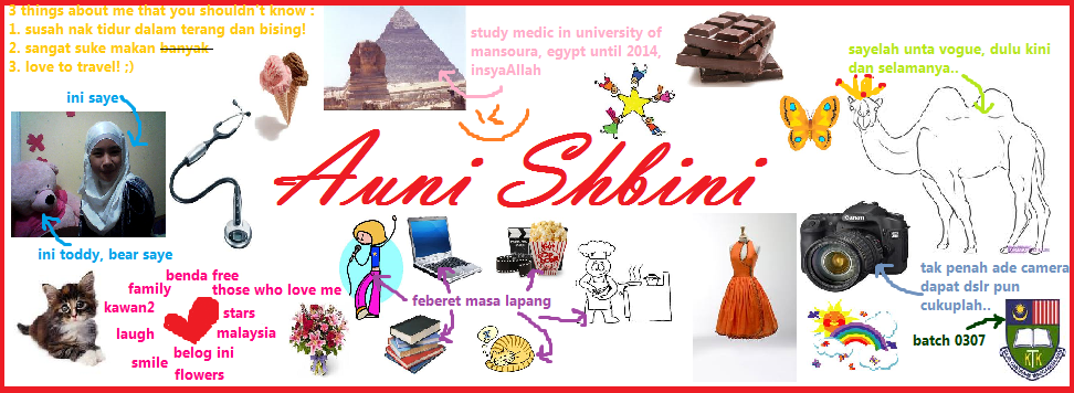 Auni Shbini