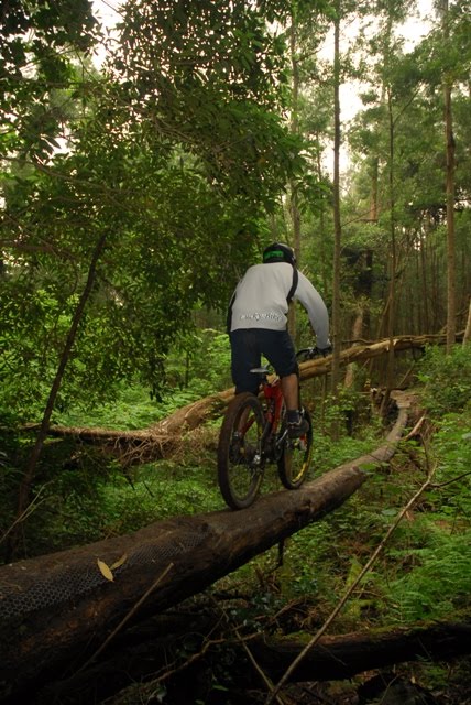 Sintra Freeride Militia