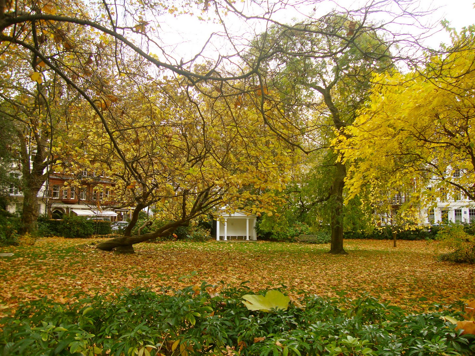 The Daily Constitutional from London Walks®: London Autumn…