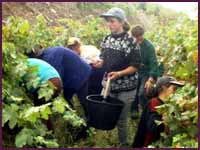 [Rogas+do+Douro.jpg]