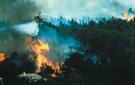 [Incendios.jpg]
