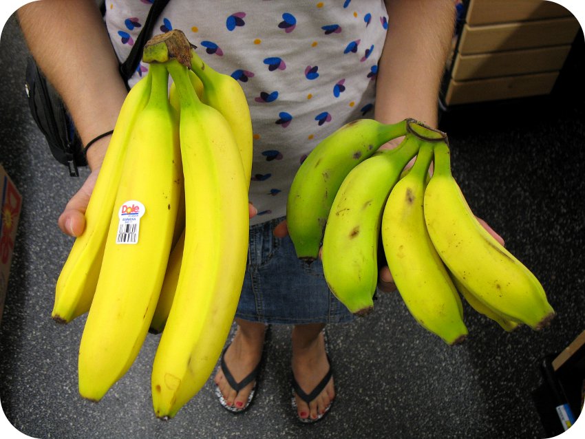 beFOODled Baby bananas in Hawaii