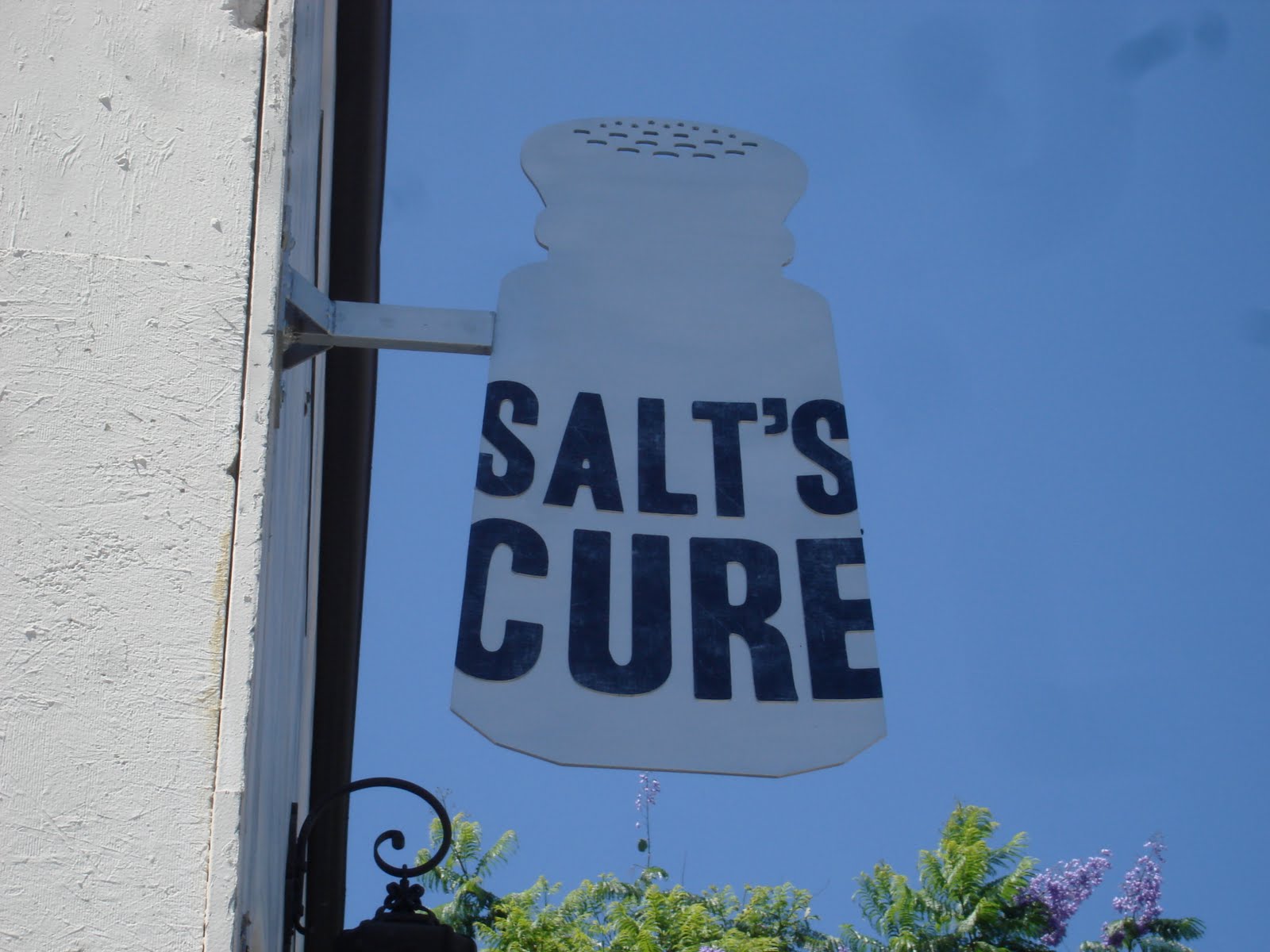 Worth Your Salt Review Salt's Cure