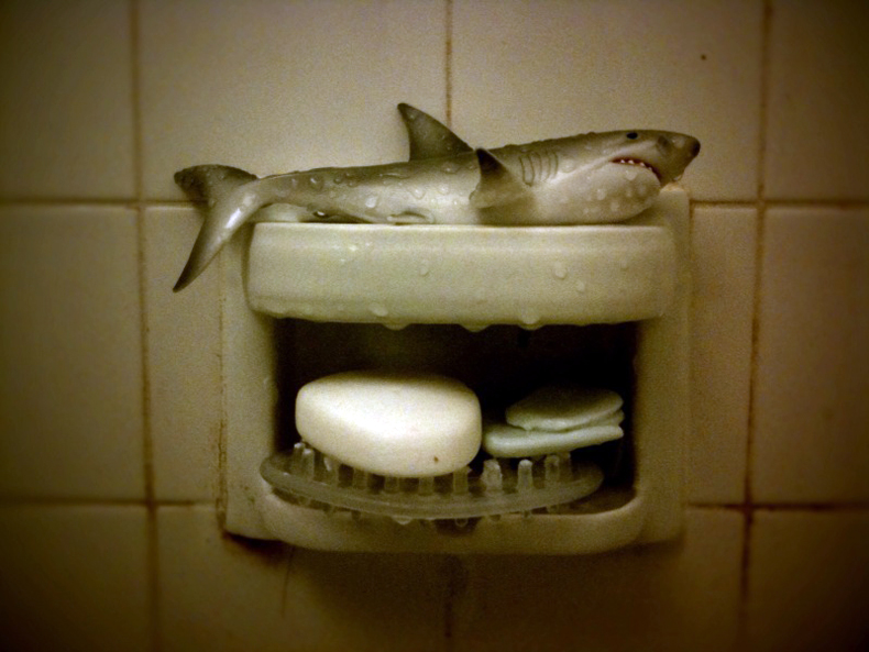 Baisically. Why I'm Afraid Of Sharks