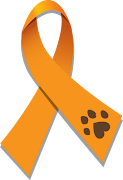 April is Prevention of Animal Cruelty Month