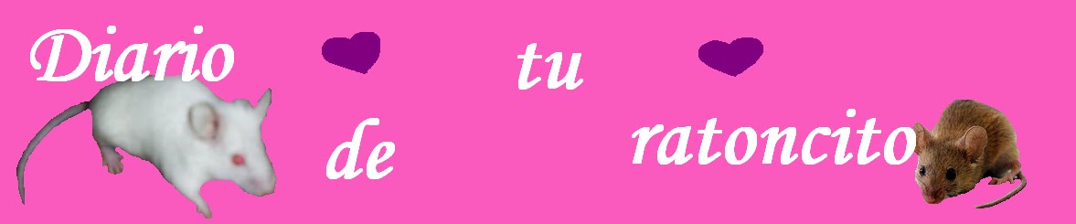 DiaRio De Tu RaToNciiTo