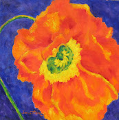 Orange Poppy