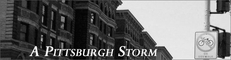 Pittsburgh Storm