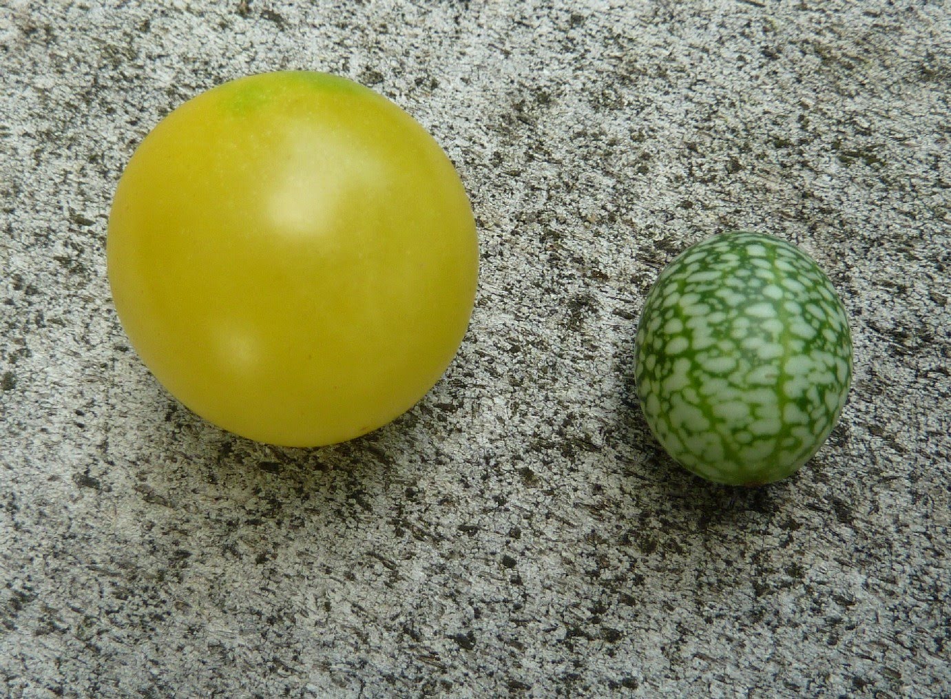 Grow It Eat It Melons for mice