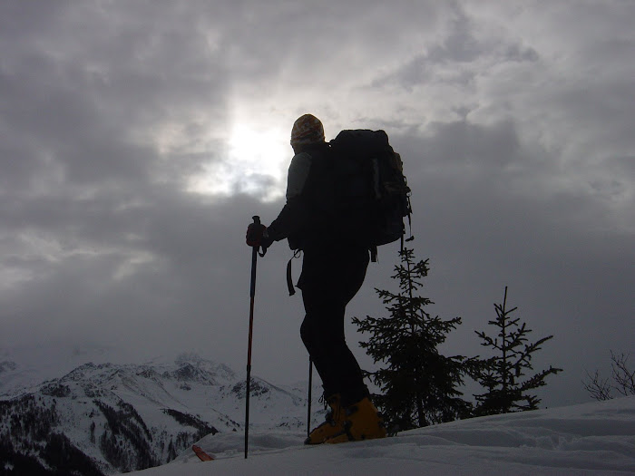 Cross-Country Skiing in Switherland