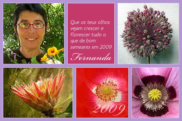 [Fernanda2009_pt.jpg]