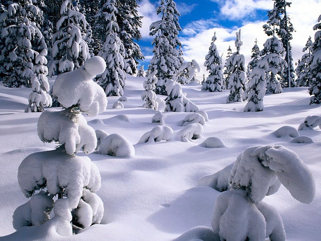 Peisaje de iarna: Peisaj de iarna fantastic