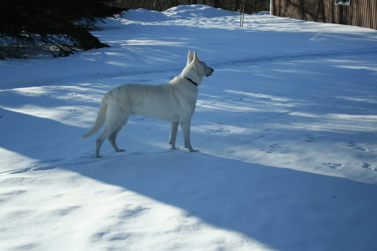 [IMG_3856.JPG]