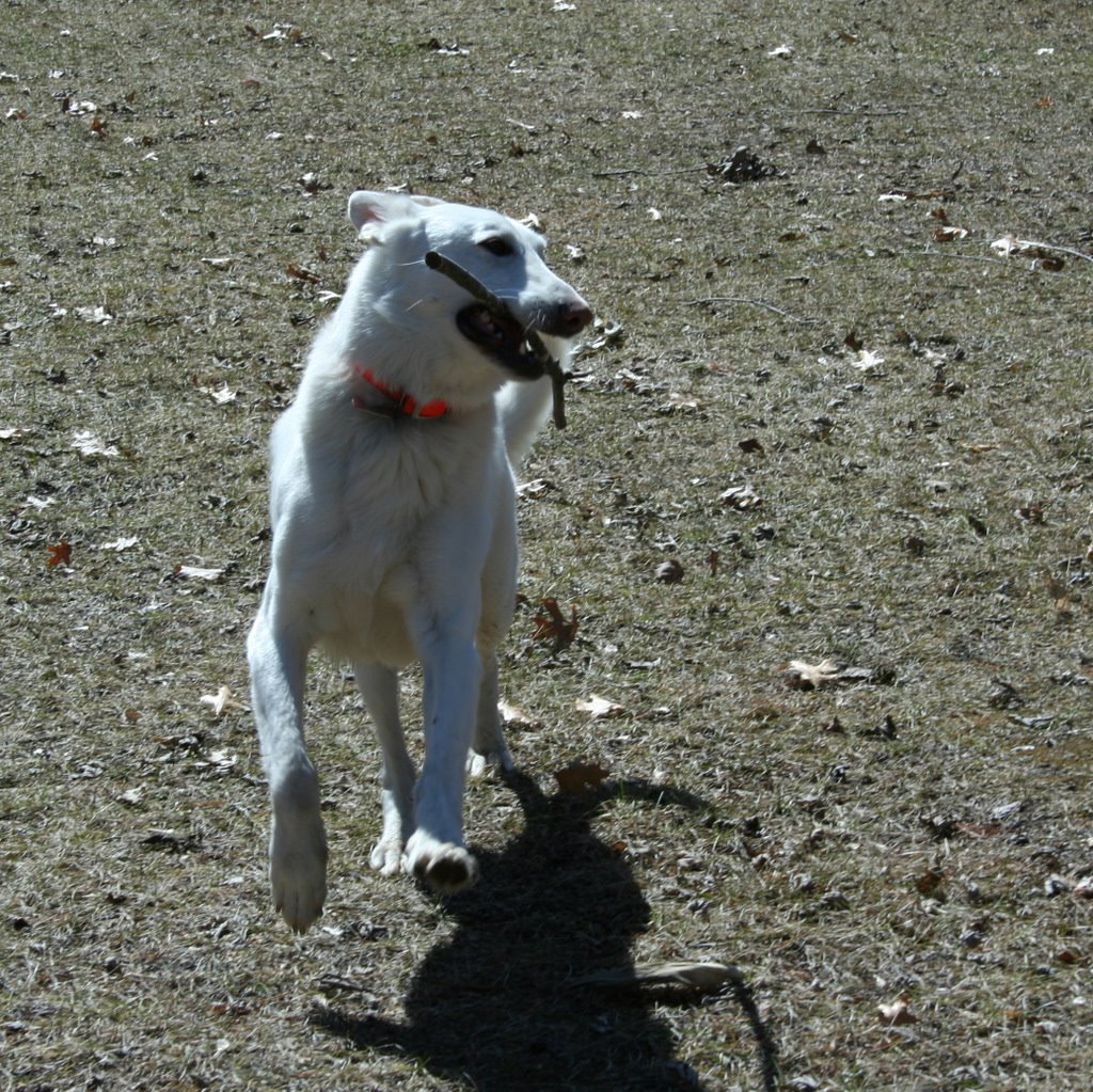 [IMG_2457.JPG]
