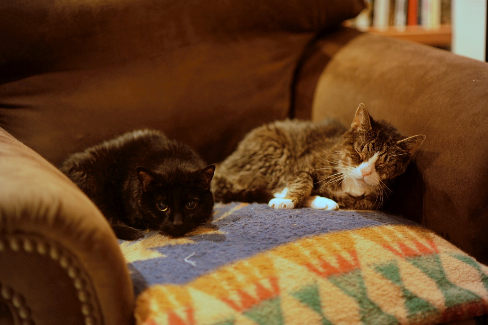 [DSC_1962.JPG]