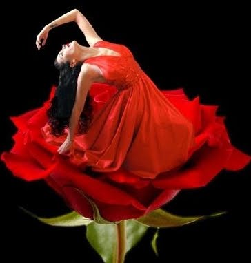 [09b6830f7c14880fefda77edd8663f5e_web.jpg]