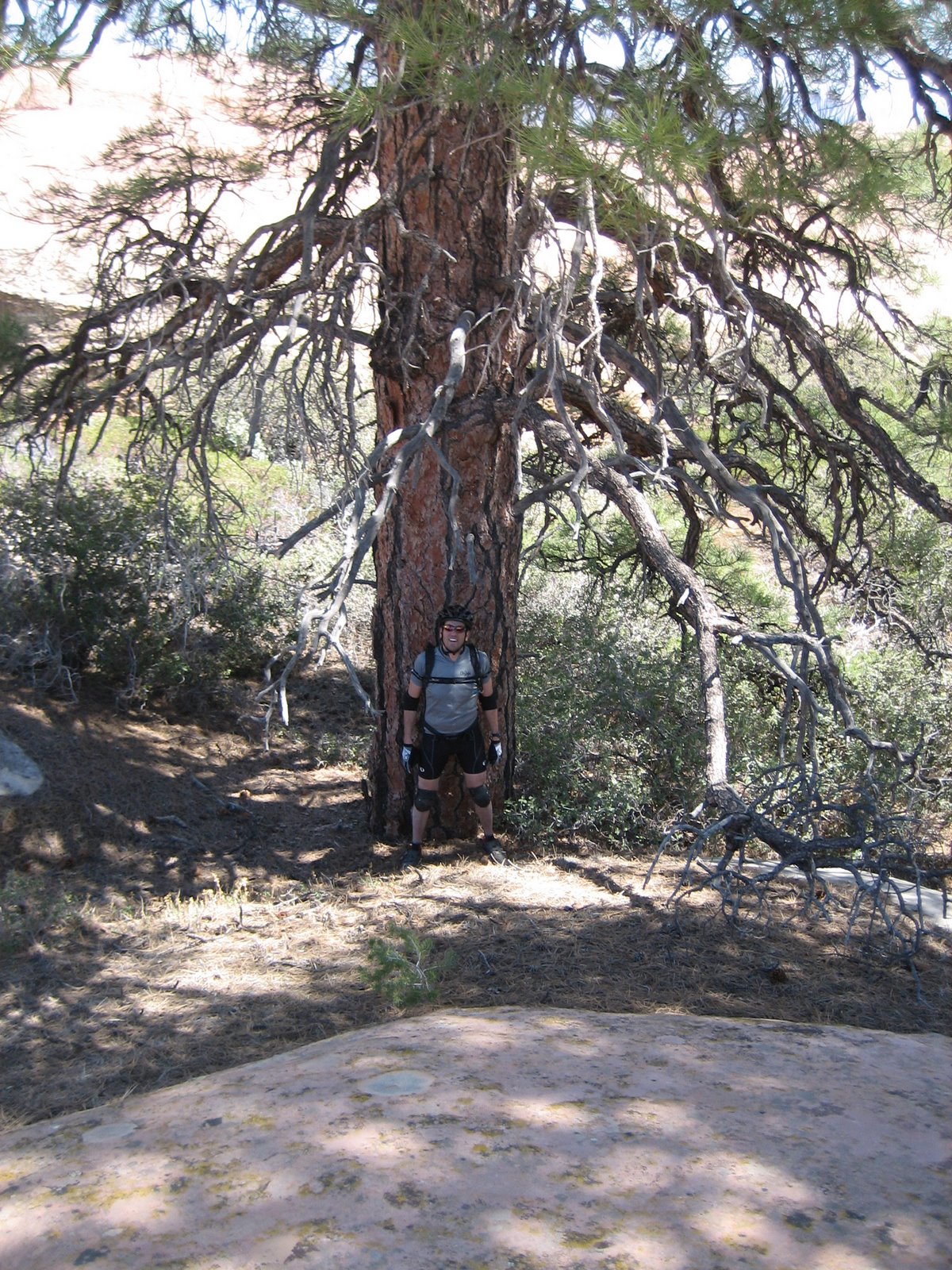 [Ponderosa+AFO+LC+4+19+08.JPG]