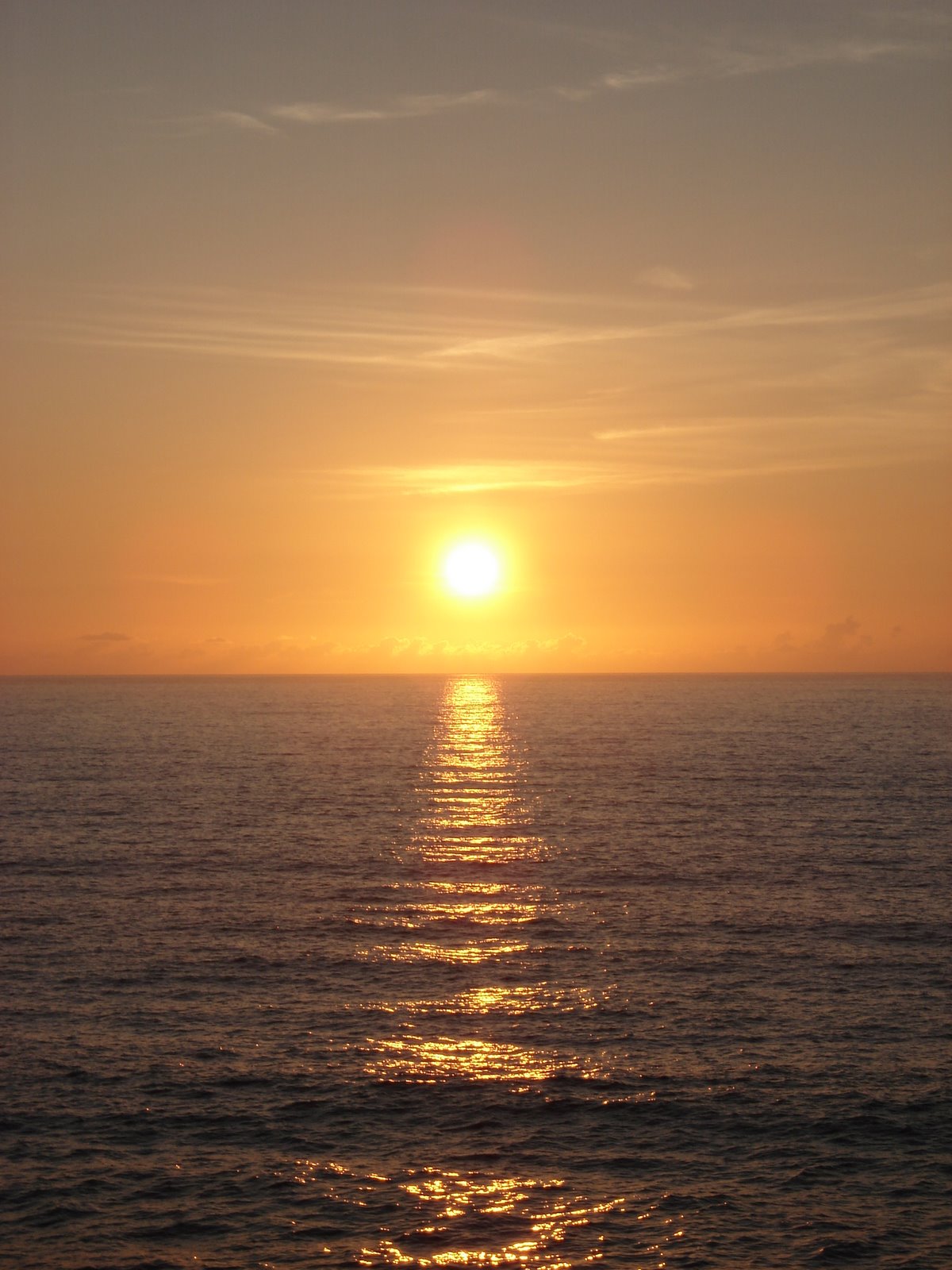 [DSC03625.JPG]