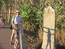 shadows on termite mound