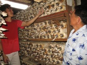 [292x300.2008.05.26.np522a01]