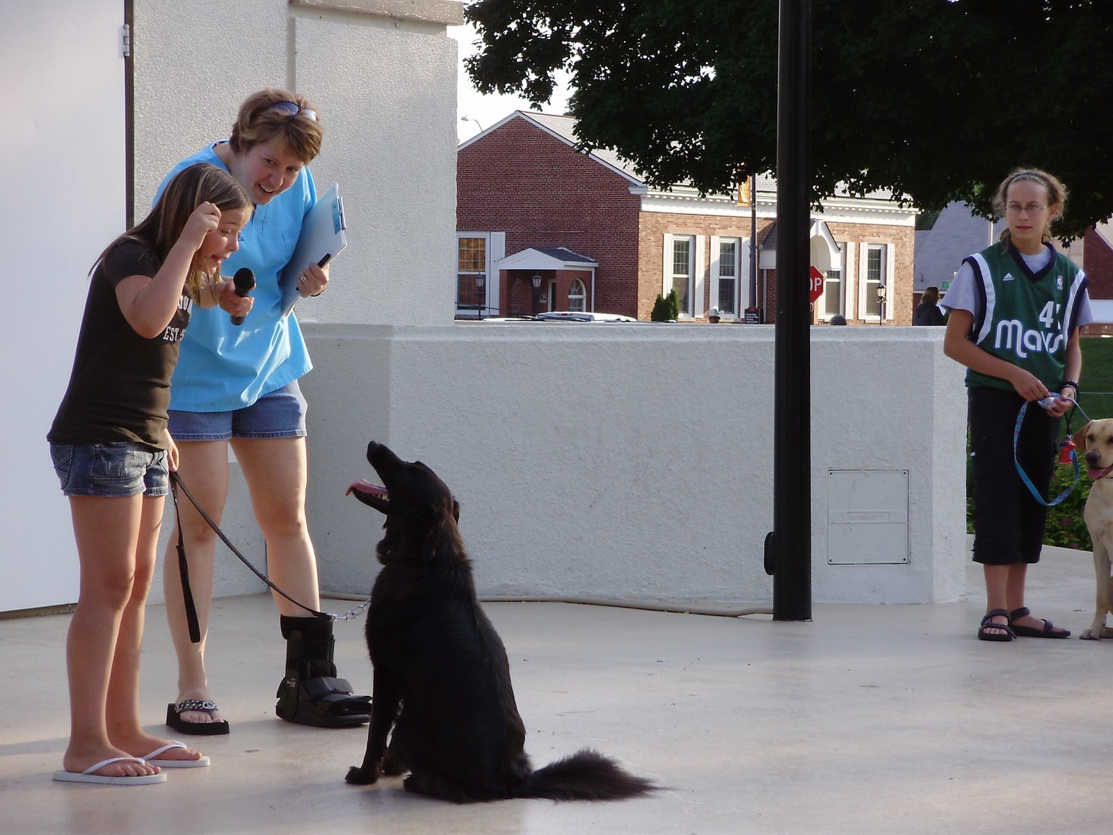 [P6110055-793215.JPG]