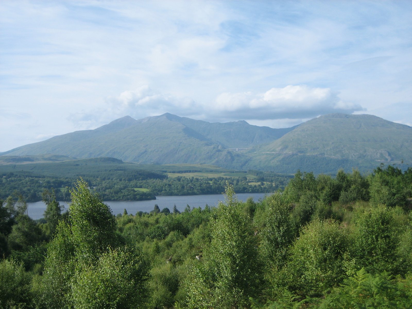 [IMG_2608.JPG]