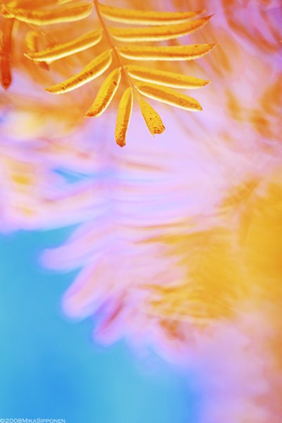 [IMG_9439.jpg]
