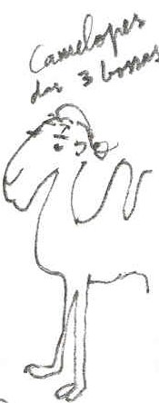 [O+regresso+de+Camelopes.bmp]