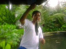 mancing