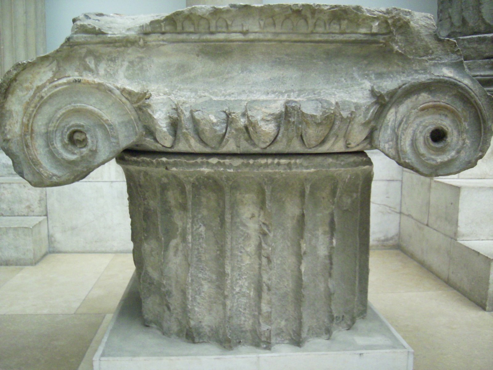 [DSCI0068.JPG]
