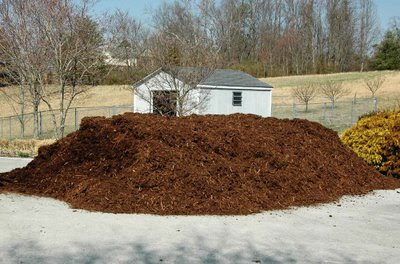 spreading this mulch pile is a pain in the patooi
