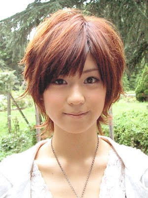 Asian Short Straight Hairstyles. Asian Short for Thick Hair