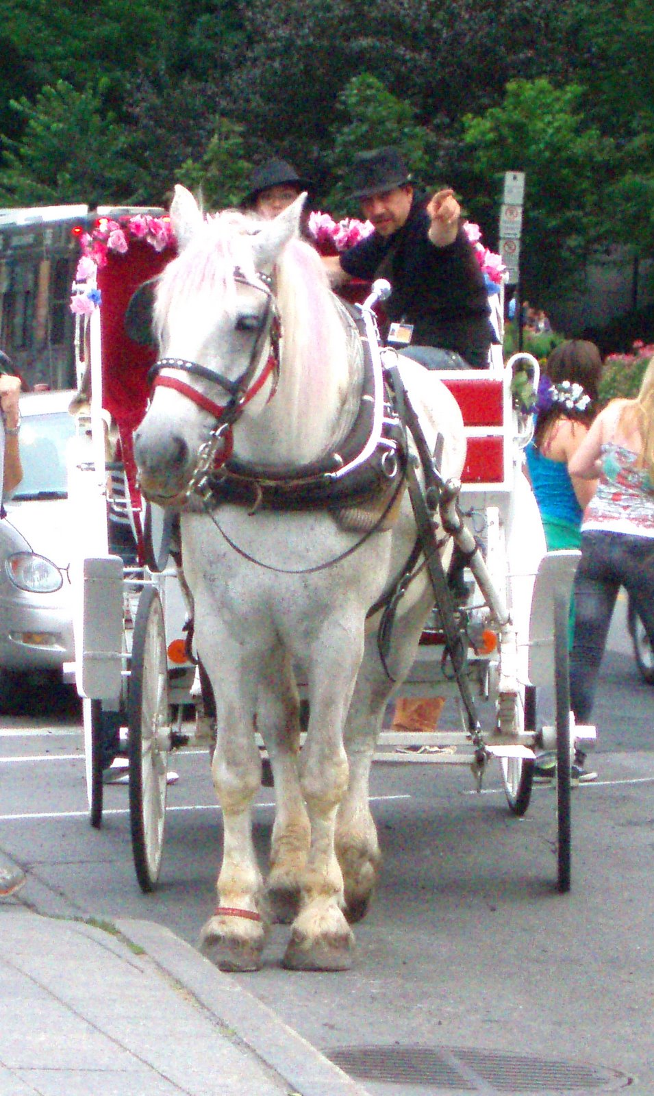 [P7230585.JPG]