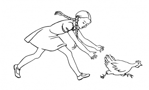 Chicken Coloring Pages Chicken Coloring Pages