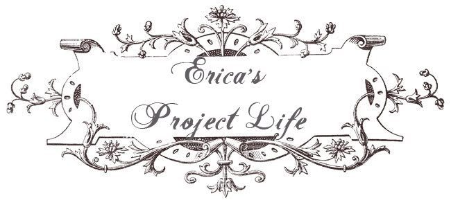 Project Life