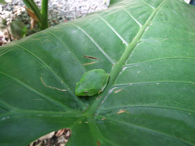 [DSCF4652_大小.JPG]